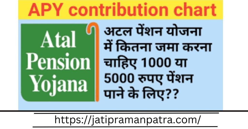 Atal Pension Yojana Calculator