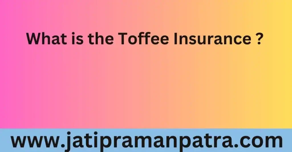 Toffee Insurance